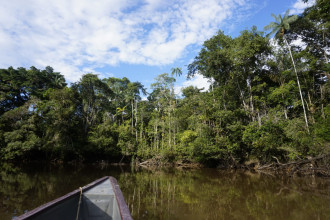 Equateur - Amazonie