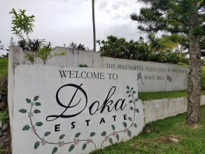 Costa Rica - Doka Estate