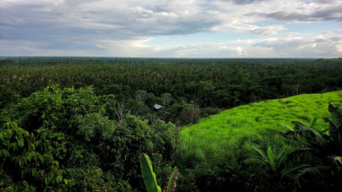 Pérou - Amazonie