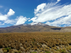 Pérou - Sur la route du canyon de Colca ...