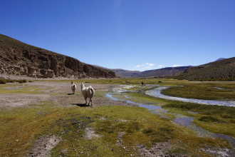 Bolivie - Tupiza